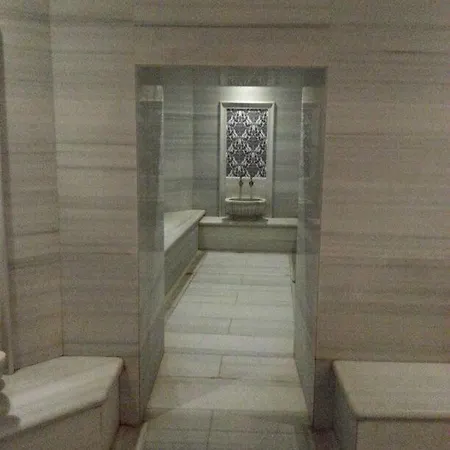 Afafet Termal 호텔 Armutlu