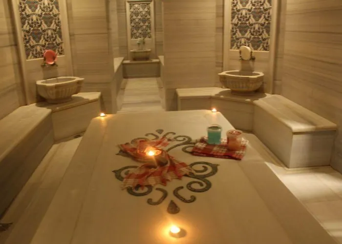 Hotel Afafet Termal *